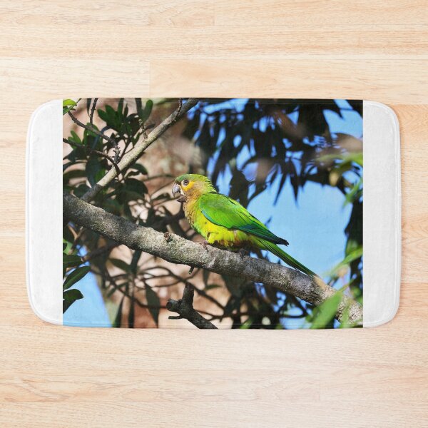Item preview, Green Parrot Panama Casanga Alvaro Miranda Bird Photography designed and sold by Alvaro-Miranda.