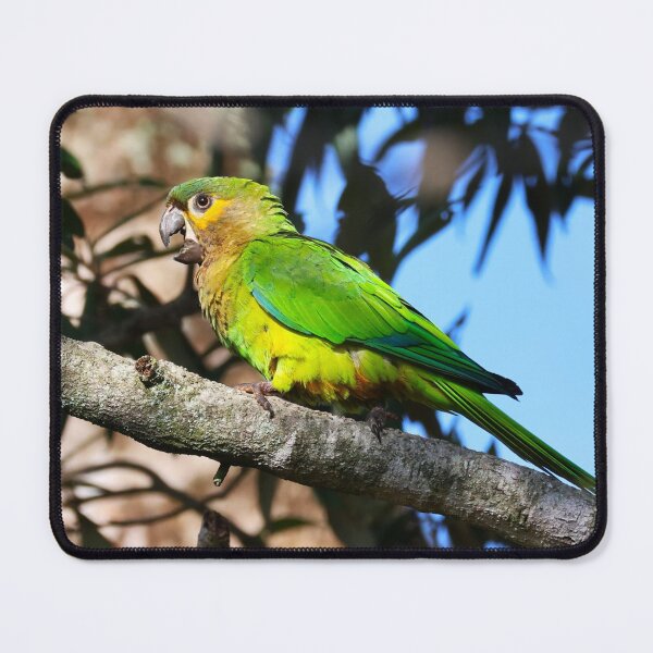 Item preview, Green Parrot Panama Casanga Alvaro Miranda Bird Photography designed and sold by Alvaro-Miranda.