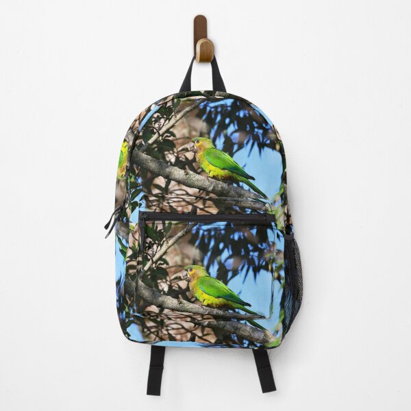 Item preview, Green Parrot Panama Casanga Alvaro Miranda Bird Photography designed and sold by Alvaro-Miranda.