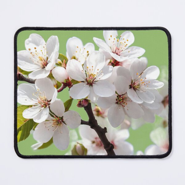 Item preview, Pristine White Cherry Blossoms designed and sold by Hney-5.