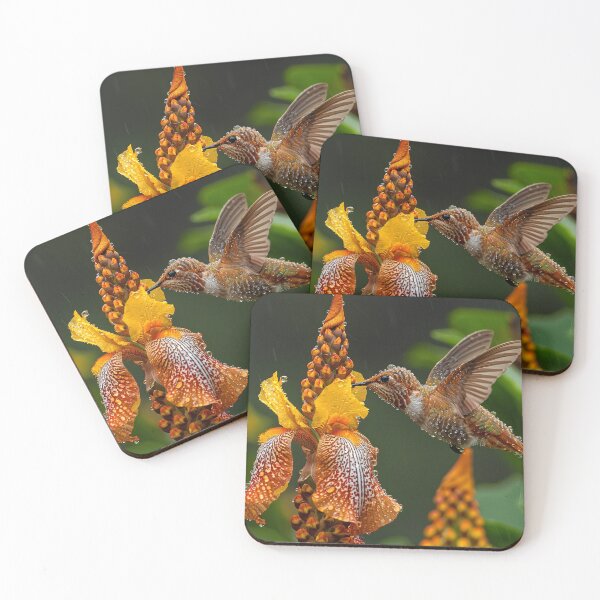 Item preview, Hummingbird designed and sold by Brendon987.