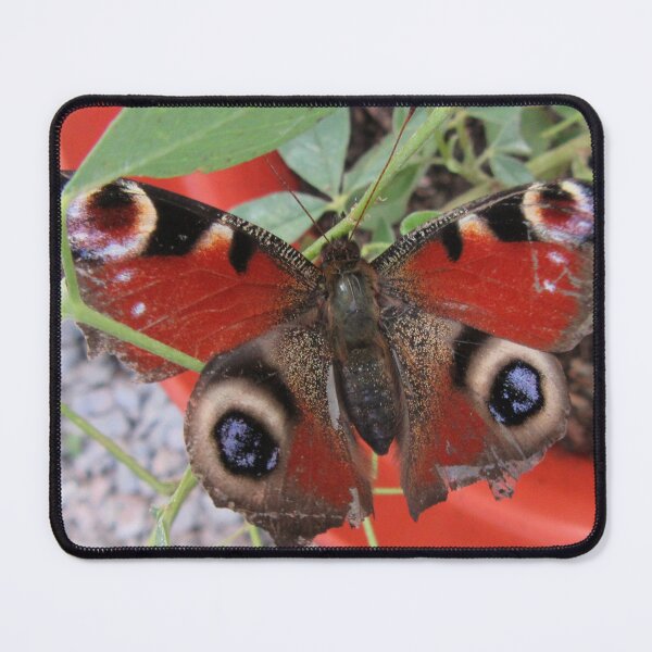 Item preview, Peacock Butterfly - Aglais io designed and sold by lezvee.