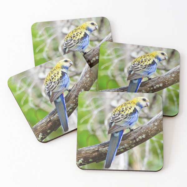 Item preview, Pale-Headed Rosella Dundowran Beach designed and sold by Mark Grimsley.