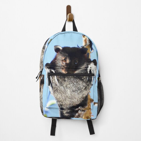 Item preview, Bat flying fox Hervey Bay Queensland designed and sold by Mark Grimsley.