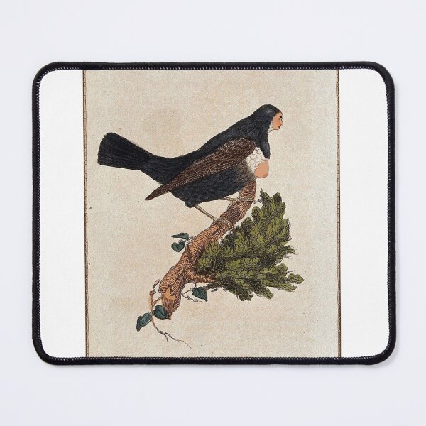 Item preview, convent harpy designed and sold by Sydney  Bradshaw.