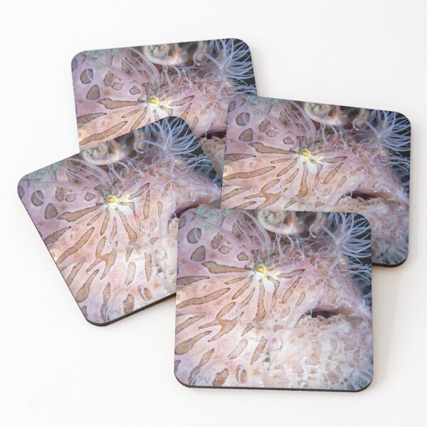 Item preview, Hairy frogfish designed and sold by David Wachenfeld.