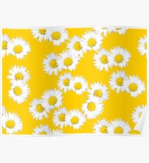 White and Yellow Daisy Poster