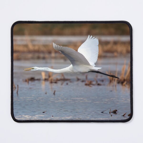 Item preview, Egret Flight designed and sold by CarolM.