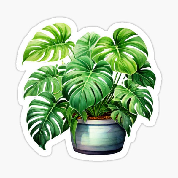 Item preview, Watercolour Monstera Indoo Plant Sticker designed and sold by MotifDesignsAus.