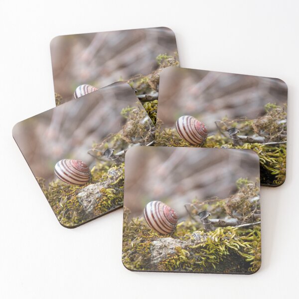 Item preview, Snail Beside a Hiking Trail designed and sold by jrtwynam.