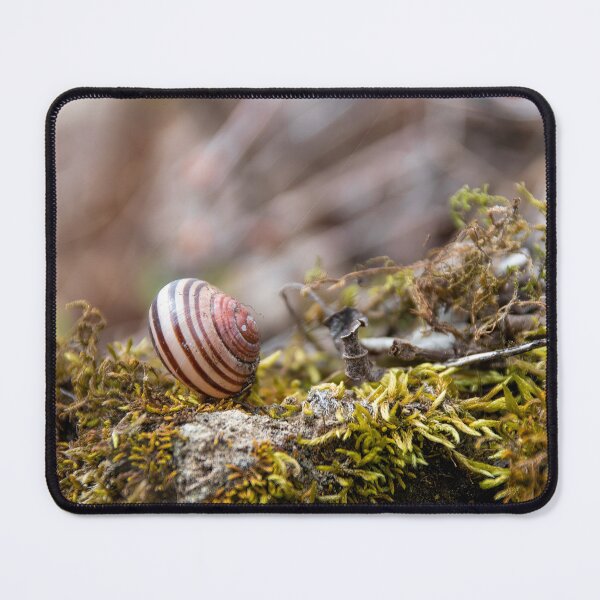 Item preview, Snail Beside a Hiking Trail designed and sold by jrtwynam.