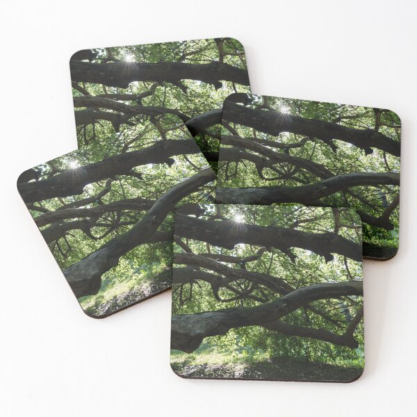 Item preview, Interwoven Branches and Sunburst Under the Mulberry Tree Canopy designed and sold by Georgia Mizuleva.
