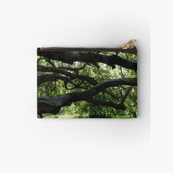 Item preview, Interwoven Branches and Sunburst Under the Mulberry Tree Canopy designed and sold by Georgia Mizuleva.