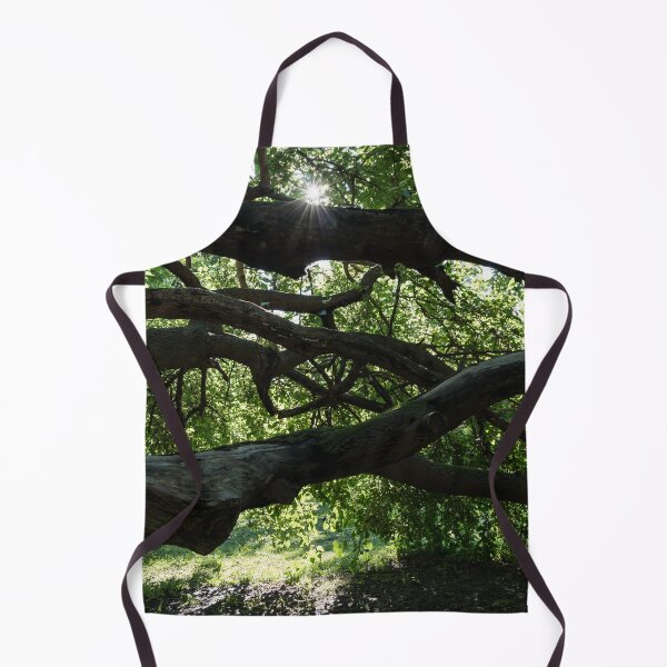 Item preview, Interwoven Branches and Sunburst Under the Mulberry Tree Canopy designed and sold by Georgia Mizuleva.