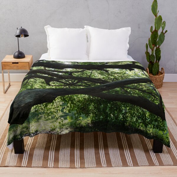 Item preview, Interwoven Branches and Sunburst Under the Mulberry Tree Canopy designed and sold by Georgia Mizuleva.