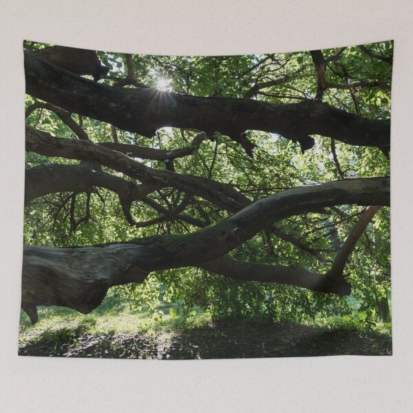 Item preview, Interwoven Branches and Sunburst Under the Mulberry Tree Canopy designed and sold by Georgia Mizuleva.