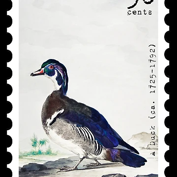 Artwork thumbnail, Duck Stamp by RabbitK