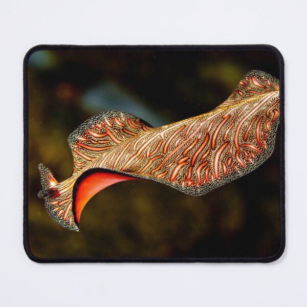 Item preview, Magic carpet ride designed and sold by David Wachenfeld.