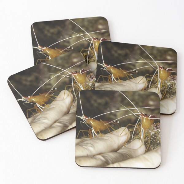 Item preview, Free manicure designed and sold by David Wachenfeld.