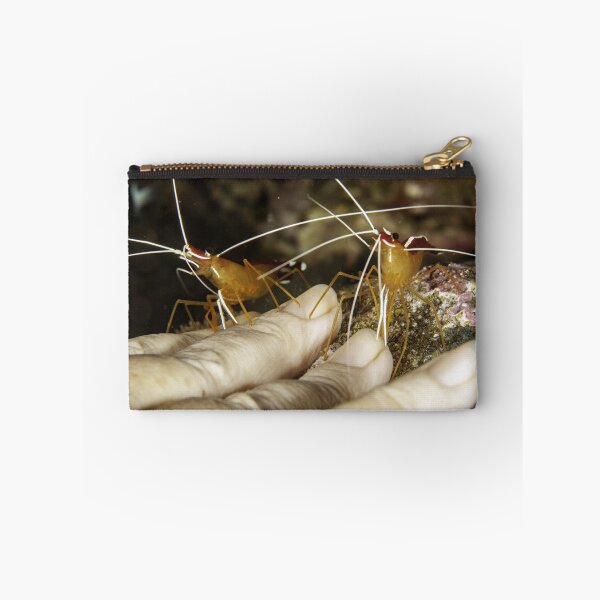 Item preview, Free manicure designed and sold by David Wachenfeld.