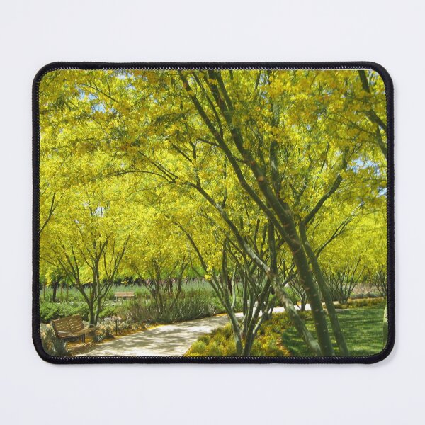 Item preview, Palo Verde Trees in Bloom at Sunnylands in Rancho Mirage California designed and sold by JoyousArt4u.