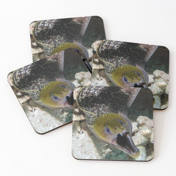 Item preview, Moray designed and sold by David Wachenfeld.