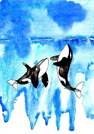 Orca, watercolor Orca Posters by Rosaliartbook | Redbubble