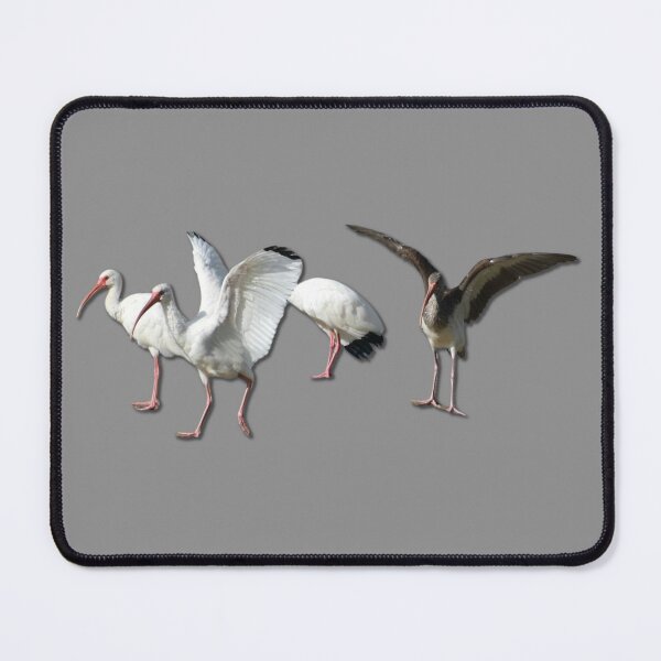 Item preview, White Ibises designed and sold by Paul-Prints.