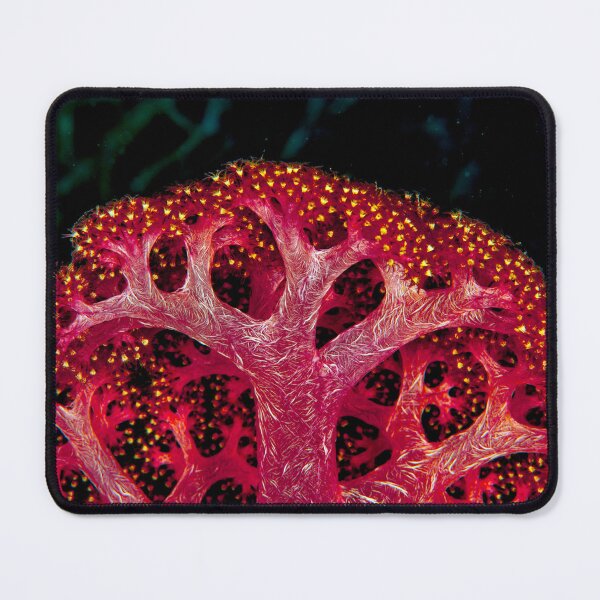 Item preview, Soft coral designed and sold by David Wachenfeld.