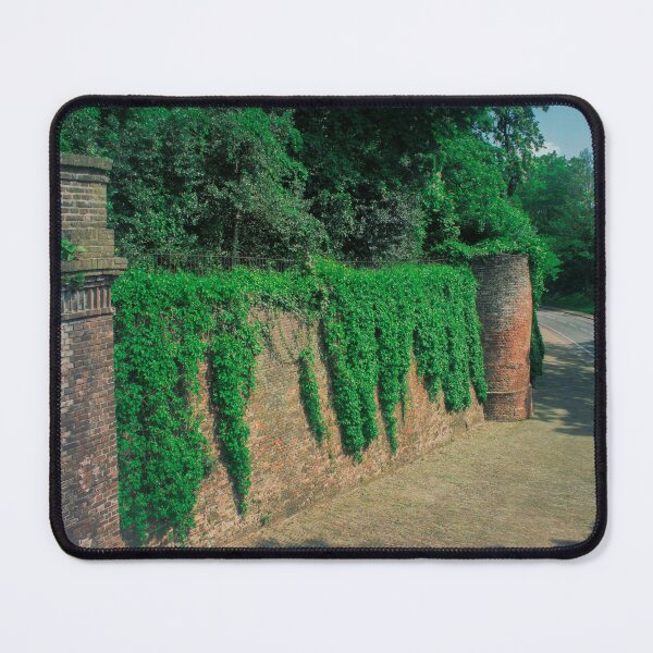 Item preview, City wall in Nijmegen designed and sold by Elianne Turennout.