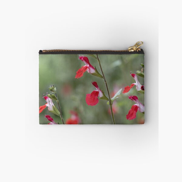 Item preview, Vibrant Red Salvia Blooms designed and sold by Imladris01.