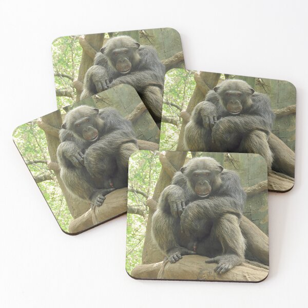 Item preview, Gorilla Sitting Looking at Camera  designed and sold by Linda Walsh.