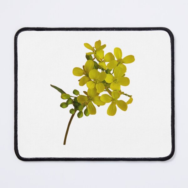 Item preview, Bunias orientalis 1 designed and sold by Dariusz Siński.