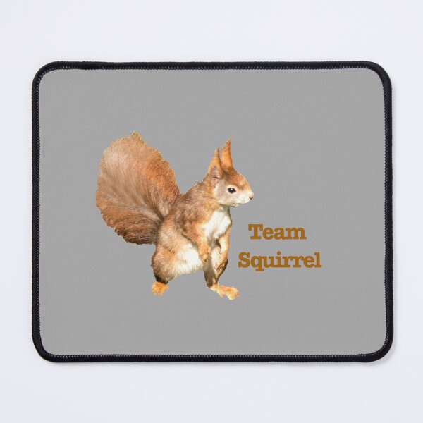 Item preview, squirrel designed and sold by Katja LebenFreude.