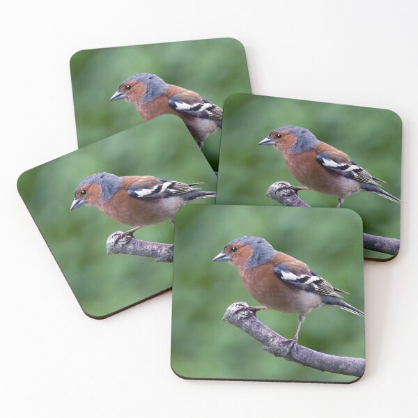 Item preview, The Chaffinch  designed and sold by Tom McPherson Photography.