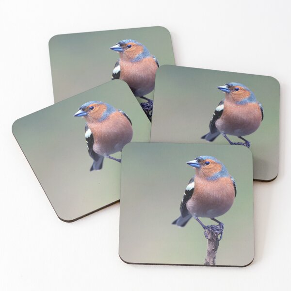 Item preview, Chaffinch designed and sold by Tom McPherson Photography.