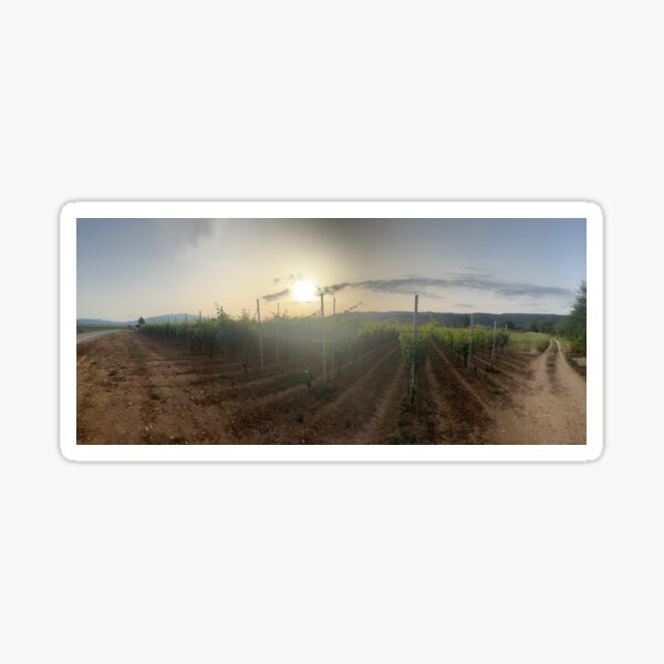 Item preview, Zygos Grapevines at Sunset designed and sold by 4XGDesigns.