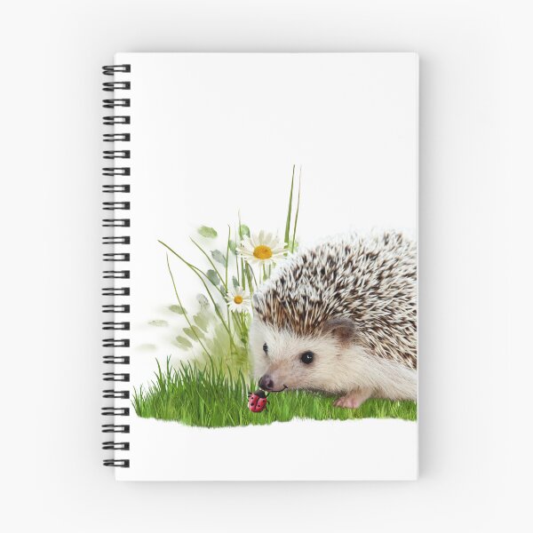 Item preview, CUTE HEDGEHOG AND LADYBUG designed and sold by THE AMERICAN TEEVANGELIST.