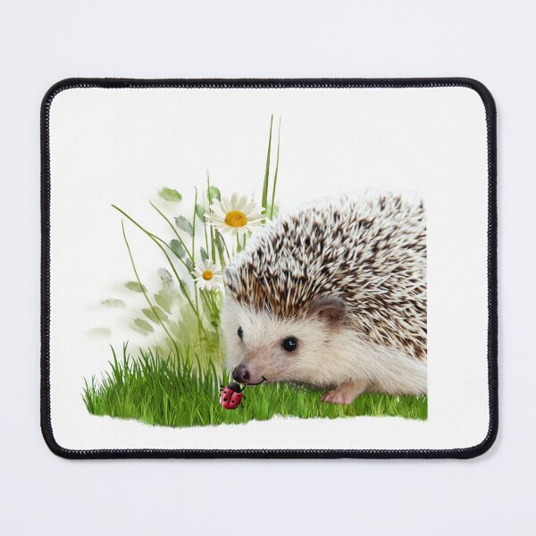 Item preview, CUTE HEDGEHOG AND LADYBUG designed and sold by THE AMERICAN TEEVANGELIST.