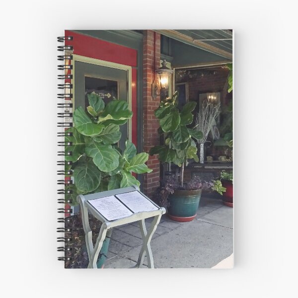 Item preview, Kingston NY Restaurant designed and sold by Susan Savad.