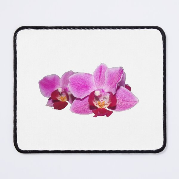 Item preview, Beautiful Orchidea Flower designed and sold by Betulek.