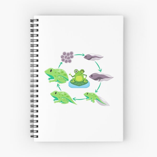 Item preview, Tree Frogs, Tree Froggo Gifts For Froggy Lovers designed and sold by Cuteanimalgifts.