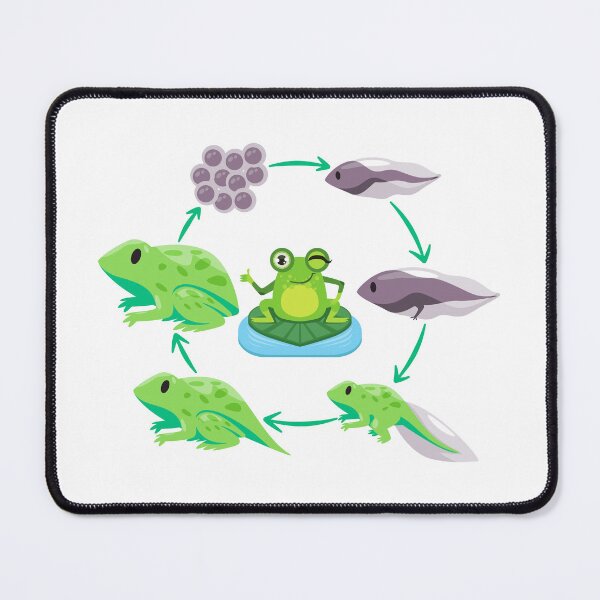 Item preview, Tree Frogs, Tree Froggo Gifts For Froggy Lovers designed and sold by Cuteanimalgifts.