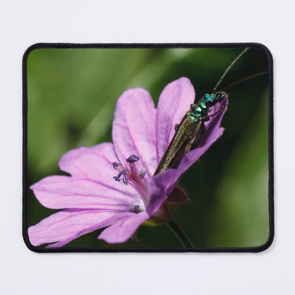 Item preview, Sunbathing  designed and sold by Alanjamesphoto.