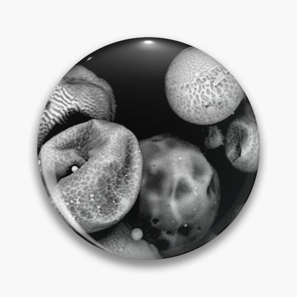 Item preview, Glimpse Into A Microscopic World designed and sold by Sci-Arch.