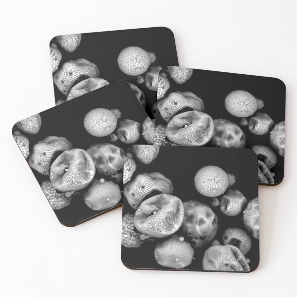 Item preview, Glimpse Into A Microscopic World designed and sold by Sci-Arch.