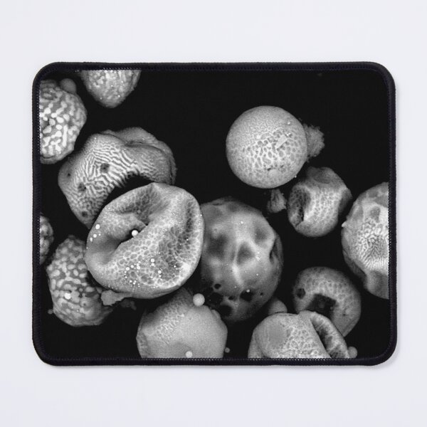 Item preview, Glimpse Into A Microscopic World designed and sold by Sci-Arch.