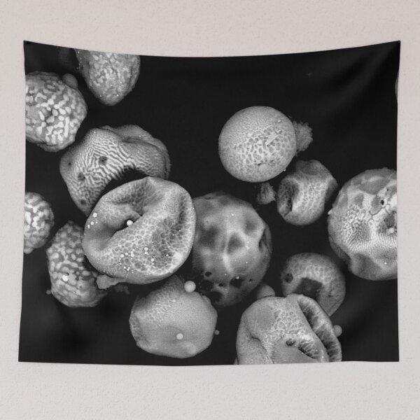 Item preview, Glimpse Into A Microscopic World designed and sold by Sci-Arch.