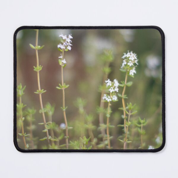Item preview, Enchanting Thyme Blossoms: Close-Up Nature Photography of Blooming Herb Garden designed and sold by DoodlingPrints.