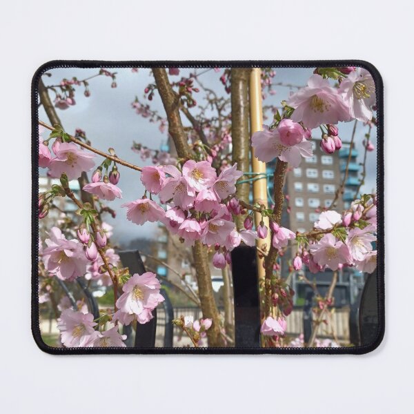 Item preview, Blossoms Season 2024 (II) designed and sold by dawnsm.